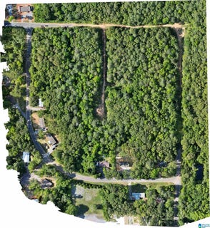 /international/us/442-davis-street-lot-19-2-acres-wilsonville-al-110104847253/