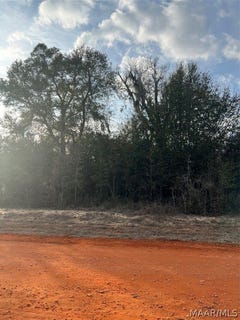 /international/us/deer-loop-lot-35-camden-al-110081756949/