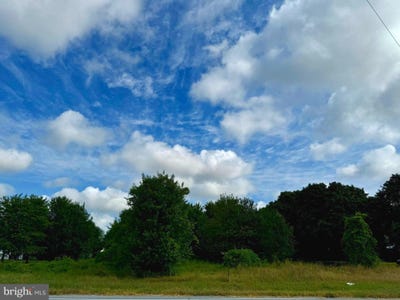 /international/us/lot-1-milford-harrington-hwy-milford-de-110099880671/?lang=zh-cn