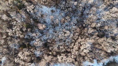 /international/us/1125-1-2-irene-st-sioux-city-ia-110104124898/