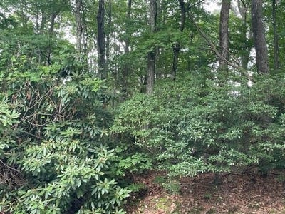 /international/us/tbd-dogwood-trail-hillsville-va-110100922737/