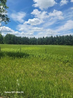 /international/us/145th-eagle-bend-mn-110108960885/
