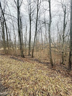 /international/us/5038-maderia-drive-west-salem-oh-110106172192/