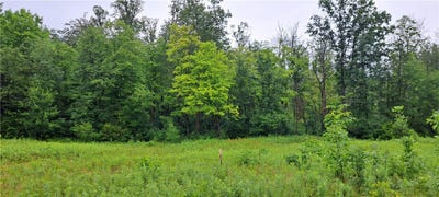 /international/us/lot-3-musky-point-drive-stone-lake-wi-110098064127/