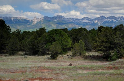 /international/us/tbd-ponderosa-drive-ridgway-co-110096734704/