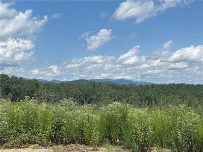 /international/us/larmon-forks-road-dahlonega-ga-110110365376/