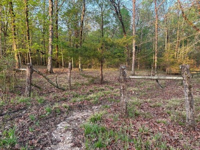 /international/us/0-hwy-41-okolona-ms-110106957936/