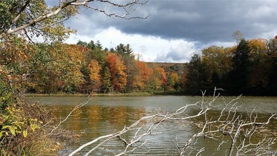 /international/us/1720-county-route-12-deruyter-ny-110108010105/