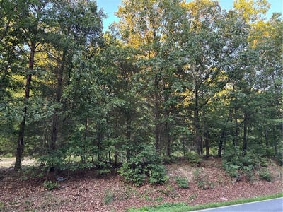 /international/us/7117-e-old-us-highway-64-lexington-nc-110101191606/?lang=fr