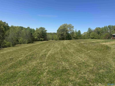 /international/us/lot-5-taylor-road-elkmont-al-110100051034/