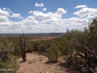 /international/us/0-bella-vista-show-low-az-110101292939/?lang=zh-cn