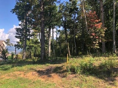 /international/us/418-brow-wood-lane-lookout-mountain-ga-110096576427/