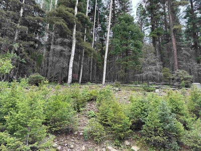 /international/us/lot-141-back-basin-rd-angel-fire-nm-110093482420/