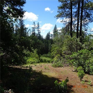 /international/us/0-powell-ridge-oroville-ca-110108504428/