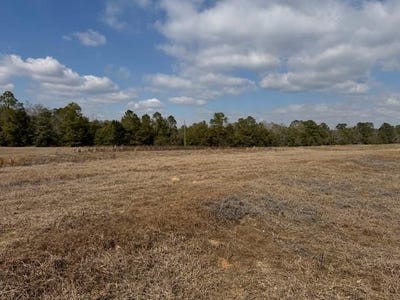 /international/us/county-road-6-black-al-110105083849/