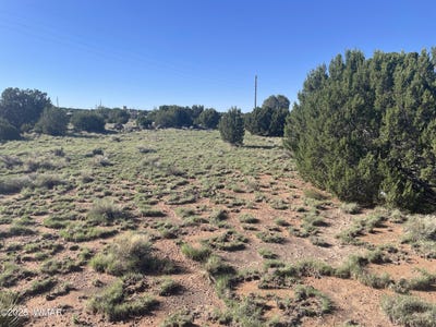 /international/us/37-frontage-road-concho-az-110098156830/