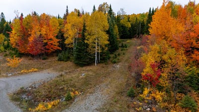/international/us/johnson-lane-lot-6-rangeley-me-110110169799/