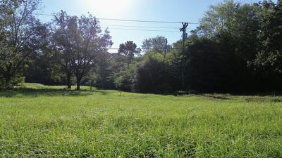/international/us/4600-hwy-96-n-jasper-tx-110119934321/