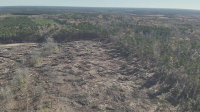 /international/us/29-14-15-calhoun-cr-3-locust-bayou-ar-110107543043/