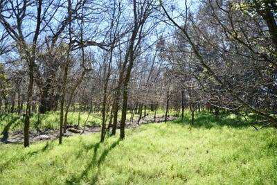 /international/us/1407-w-maple-goldthwaite-tx-110105931133/