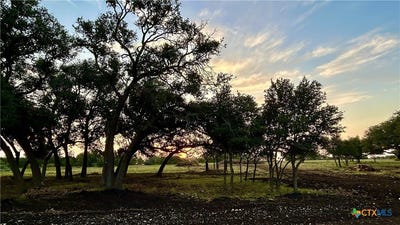 /international/us/101-pr-1295-lot-1-lampasas-tx-110107874711/