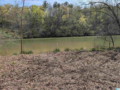 /international/us/river-crest-drive-lot-a-cordova-al-110098999426/