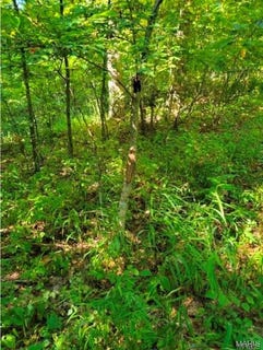 /international/us/0-county-hwy-410-ellington-mo-110104586426/