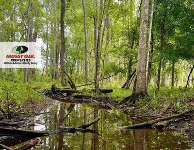/international/us/0a-langdale-rd-walterboro-sc-110110267399/