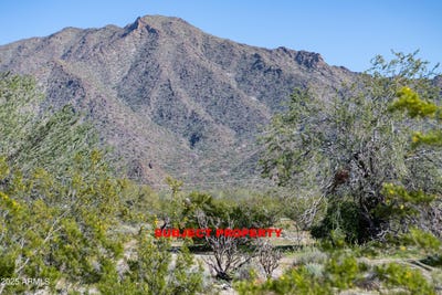 /international/us/2-acres-e-ocotillo-no-address-road-buckeye-az-110103975329/