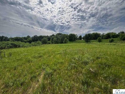 /international/us/state-hwy-22-st-peter-mn-110108492779/