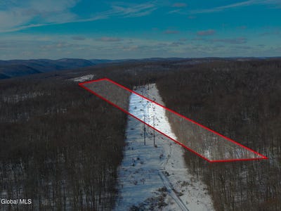 /international/us/l9-methol-cooks-falls-roscoe-ny-110105112089/