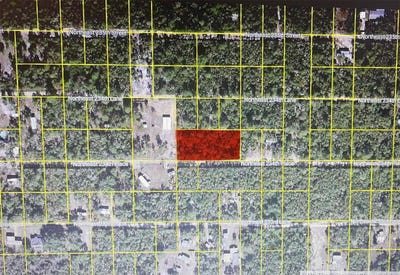 /international/us/ne-234th-place-lots-11-12-13-fort-mc-coy-fl-110120066570/