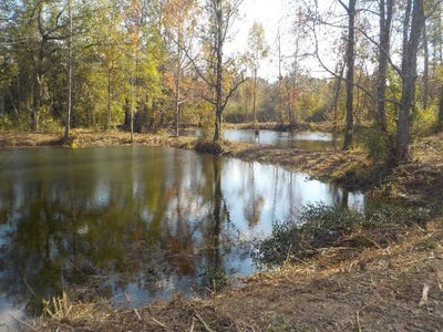 /international/us/2338-d-hodge-rd-25-63-ac-cottonwood-al-110099637809/