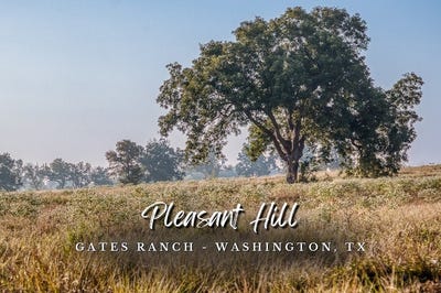 /international/us/tbd-flat-prairie-road-washington-tx-110102780635/
