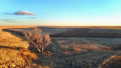/international/us/tbd-county-road-169-matheson-co-110105238141/