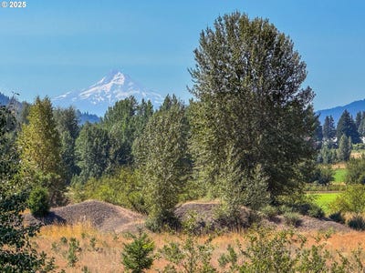 /international/us/trout-lake-hwy-trout-lake-wa-110099180952/