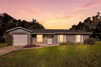 /international/us/11720-se-129th-place-ocklawaha-fl-110119957222/