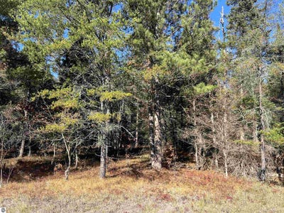 /international/us/e-n-down-river-road-lot-363-grayling-mi-110120458568/