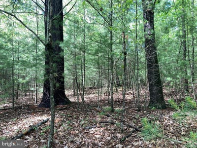 /international/us/l7-quaker-woods-lane-capon-bridge-wv-110108338012/