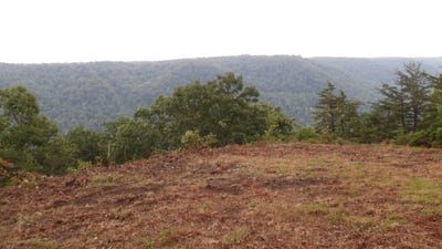 /international/us/442-valley-view-circle-wilder-tn-110107409020/