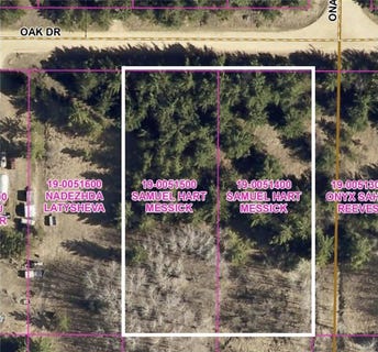 /international/us/lots-22-23-oak-drive-browerville-mn-110092533256/