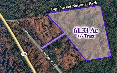 /international/us/61-33-ac-old-sour-lake-road-sour-lake-tx-110120053364/