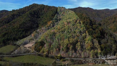 /international/us/1045-foster-creek-road-marshall-nc-110120484388/