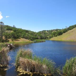 /international/us/34360-san-antonio-valley-road-livermore-ca-110104578059/