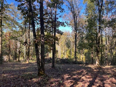 /international/us/shoreside-dr-lot-19-smithville-tn-110102984349/