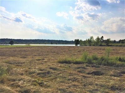 /international/us/lot-310-mound-view-drive-england-ar-110094564289/