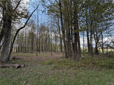 /international/us/rt-167-jordanville-ny-110107931474/