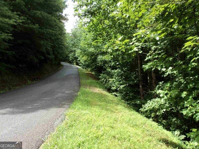 /international/us/0-smokey-hollow-dillard-ga-110100809888/