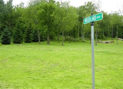 /international/us/lot-2-woodland-rd-viroqua-wi-110105192276/