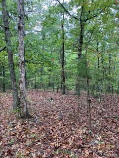 /international/us/34-madison-cr-410-fredericktown-mo-110094589436/